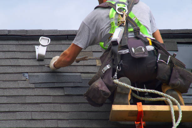 Best Roof Leak Repair  in Jenison, MI