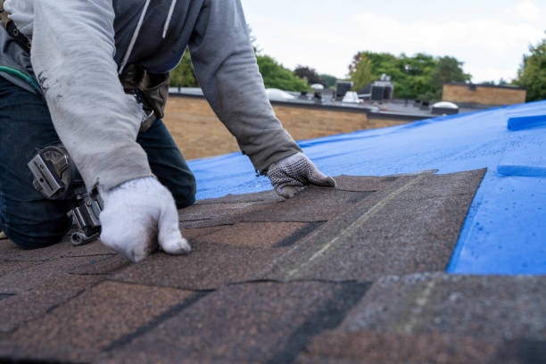 Best Slate Roofing Contractor  in Jenison, MI