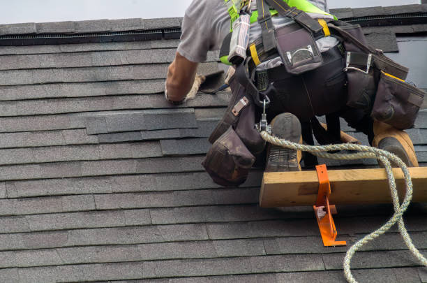 Best Storm Damage Roof Repair  in Jenison, MI