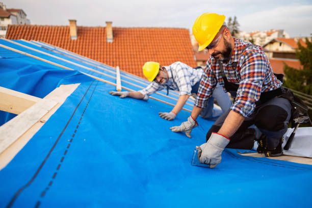 Best Commercial Roof Installation  in Jenison, MI