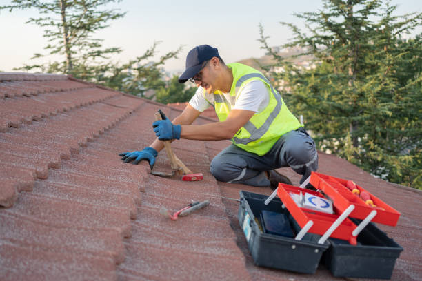 Best Residential Roofing Contractor  in Jenison, MI