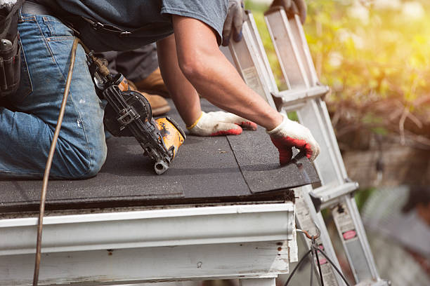 Best Gutter Installation and Roofing  in Jenison, MI