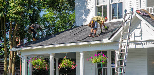 Best Flat Roof Repair Services  in Jenison, MI