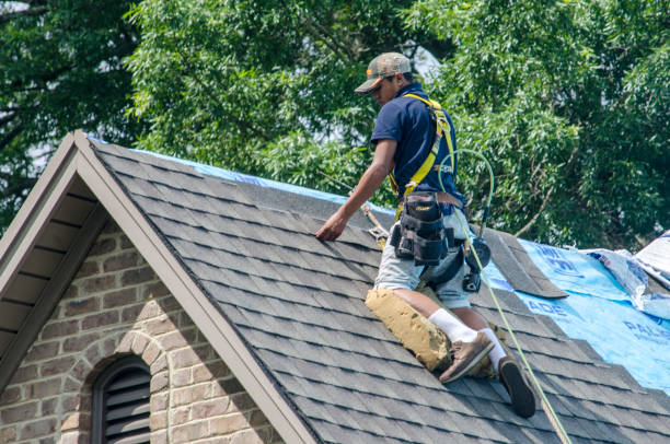 Best New Roof Installation  in Jenison, MI